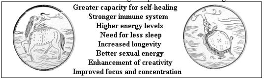 qi-gong-benefits